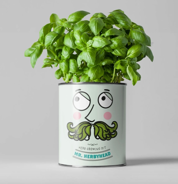 Mr. Herbyhead. Eco Grow Your Own Plant Kit, Gardening Gift.