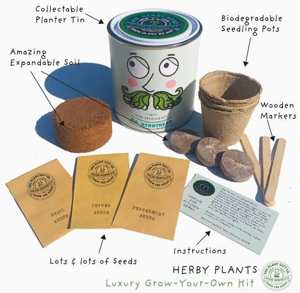 Mr. Herbyhead. Eco Grow Your Own Plant Kit, Gardening Gift.
