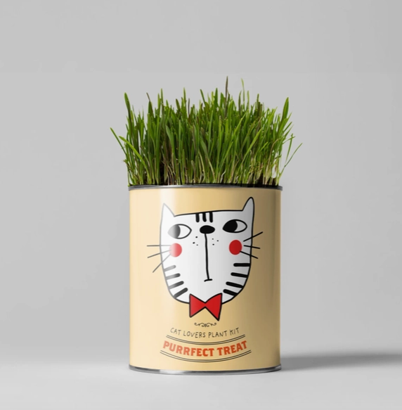 Purrfect Treat. Eco Grow Your Own Plant Kit, Gardening Kit.