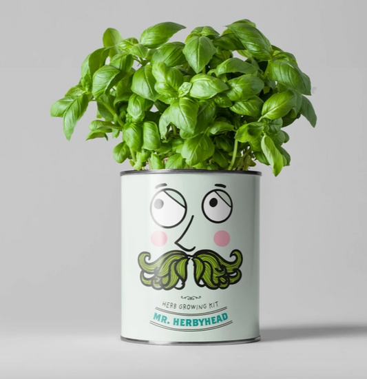 Mr. Herbyhead. Eco Grow Your Own Plant Kit, Gardening Gift.