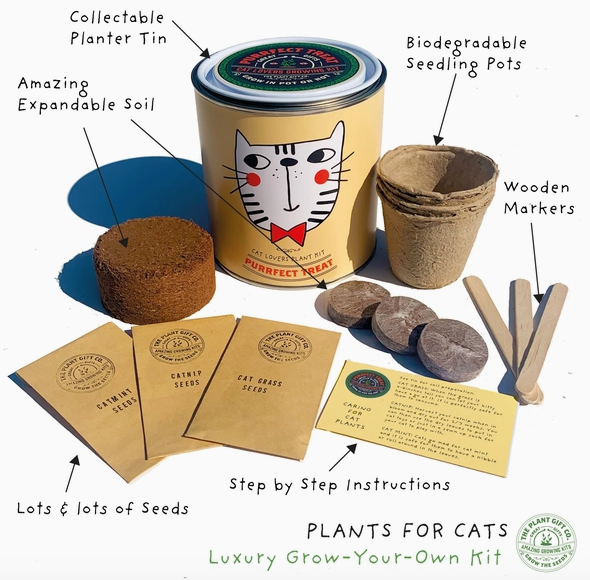 Purrfect Treat. Eco Grow Your Own Plant Kit, Gardening Kit.