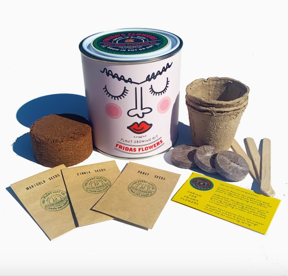 Frida's Flowers. Eco Grow Your Own Plant, Gardening Kit.