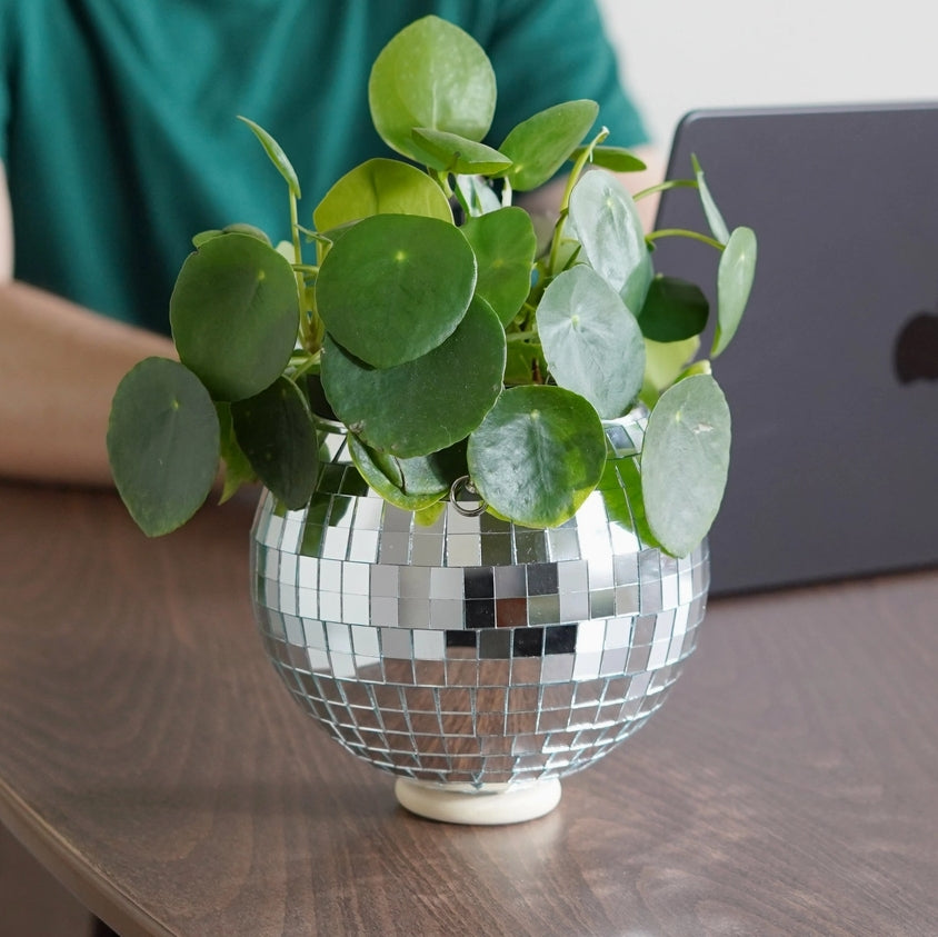 Disco Ball Hanging Planter